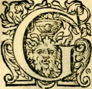 An illustration from Iohannis de Brunes I.C. Emblemata of Zinne-werck : voorghesteet, In Beelden, ghedichten, en breeder uijt-legginghen tot uijt-druckinghe, en verbeteringhe van verscheijden teijlen onser eeuwe. Spe et metu, 1624, leaf 366