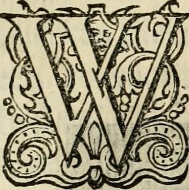 An illustration from Iohannis de Brunes I.C. Emblemata of zinne-werck : voorghestelt in beelden, ghedichten, en breeder uijt-legginghen, tot uijt-druckinghe en verbeteringhe van verscheijden feijlen onser eeuwe, 1636, leaf 165