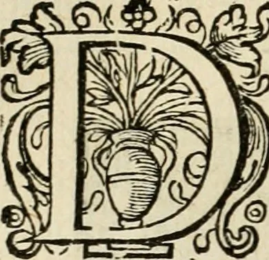 An illustration from Iohannis de Brunes I.C. Emblemata of zinne-werck : voorghestelt in beelden, ghedichten, en breeder uijt-legginghen, tot uijt-druckinghe en verbeteringhe van verscheijden feijlen onser eeuwe, 1636, leaf 175