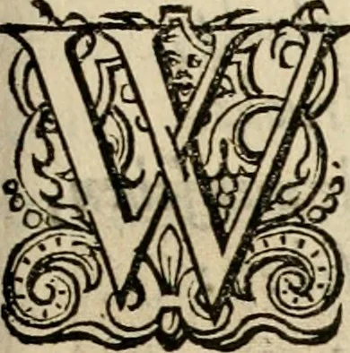 An illustration from Iohannis de Brunes I.C. Emblemata of zinne-werck : voorghestelt in beelden, ghedichten, en breeder uijt-legginghen, tot uijt-druckinghe en verbeteringhe van verscheijden feijlen onser eeuwe, 1636, leaf 202