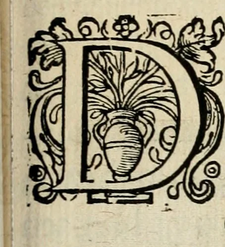An illustration from Iohannis de Brunes I.C. Emblemata of zinne-werck : voorghestelt in beelden, ghedichten, en breeder uijt-legginghen, tot uijt-druckinghe en verbeteringhe van verscheijden feijlen onser eeuwe, 1636, leaf 218