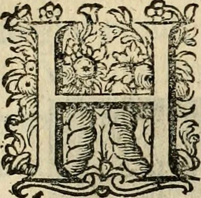 An illustration from Iohannis de Brunes I.C. Emblemata of zinne-werck : voorghestelt in beelden, ghedichten, en breeder uijt-legginghen, tot uijt-druckinghe en verbeteringhe van verscheijden feijlen onser eeuwe, 1636, leaf 283