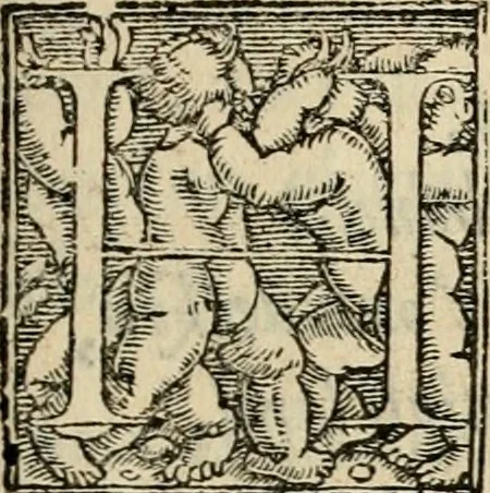 An illustration from Iohannis de Brunes I.C. Emblemata of zinne-werck : voorghestelt in beelden, ghedichten, en breeder uijt-legginghen, tot uijt-druckinghe en verbeteringhe van verscheijden feijlen onser eeuwe, 1636, leaf 290