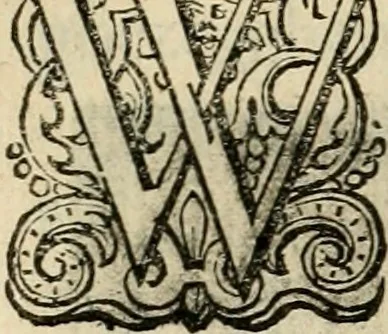 An illustration from Iohannis de Brunes I.C. Emblemata of zinne-werck : voorghestelt in beelden, ghedichten, en breeder uijt-legginghen, tot uijt-druckinghe en verbeteringhe van verscheijden feijlen onser eeuwe, 1636, leaf 299