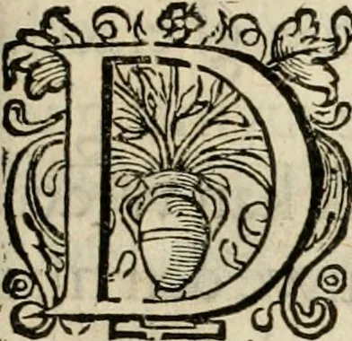 An illustration from Iohannis de Brunes I.C. Emblemata of zinne-werck : voorghestelt in beelden, ghedichten, en breeder uijt-legginghen, tot uijt-druckinghe en verbeteringhe van verscheijden feijlen onser eeuwe, 1636, leaf 316