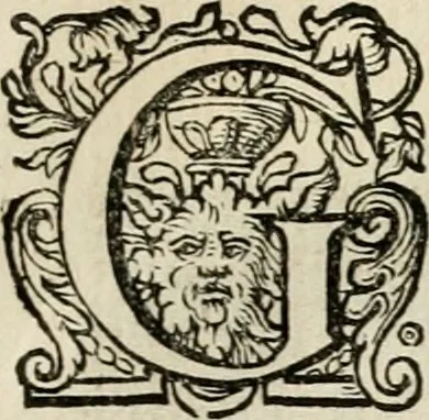 An illustration from Iohannis de Brunes I.C. Emblemata of zinne-werck : voorghestelt in beelden, ghedichten, en breeder uijt-legginghen, tot uijt-druckinghe en verbeteringhe van verscheijden feijlen onser eeuwe, 1636, leaf 372