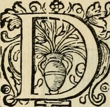 An illustration from Iohannis de Brunes I.C. Emblemata of zinne-werck : voorghestelt in beelden, ghedichten, en breeder uijt-legginghen, tot uijt-druckinghe en verbeteringhe van verscheijden feijlen onser eeuwe, 1636, leaf 375