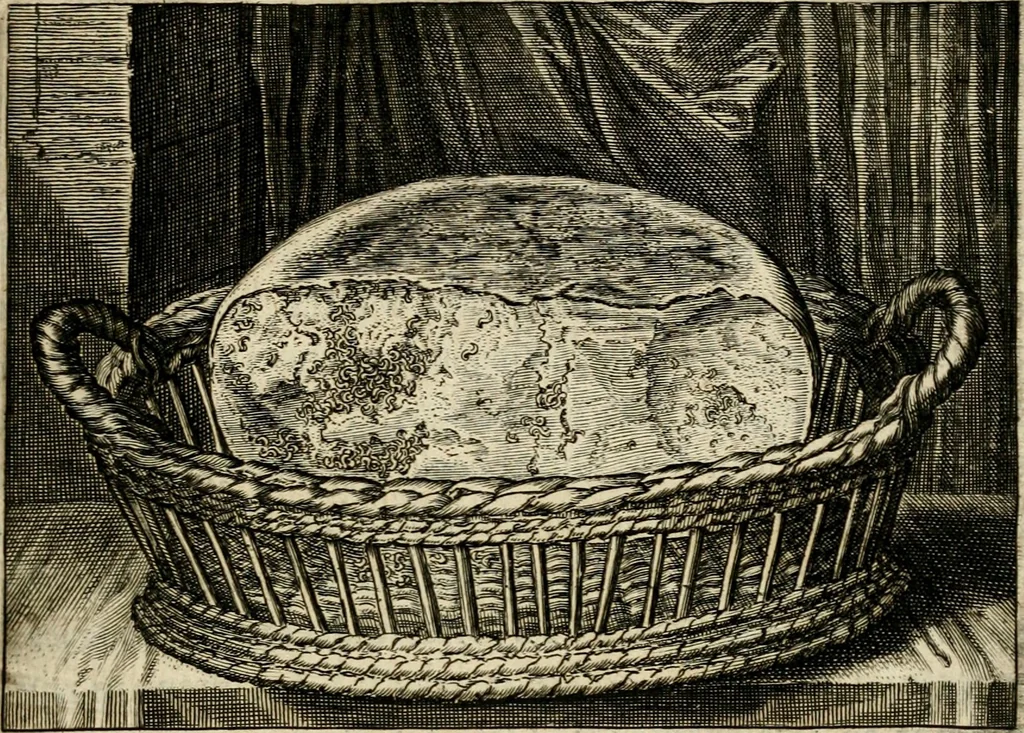 An illustration from Iohannis de Brunes I.C. Emblemata of zinne-werck : voorghestelt in beelden, ghedichten, en breeder uijt-legginghen, tot uijt-druckinghe en verbeteringhe van verscheijden feijlen onser eeuwe, 1636, leaf 72