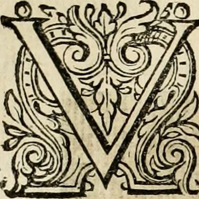 An illustration from Iohannis de Brunes I.C. Emblemata of zinne-werck : voorghestelt in beelden, ghedichten, en breeder uijt-legginghen, tot uijt-druckinghe en verbeteringhe van verscheijden feijlen onser eeuwe, 1636, leaf 79