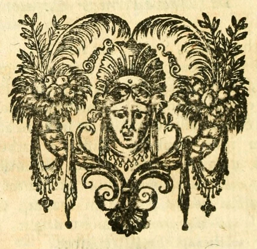 An illustration from Iohannis Schröderi, doct. medici, nec non Reipublicæ Moeno-Francofurtanae physici ordinarii, Pharmacopëia medico-chymica : sive, Thesaurus pharmacologicus. Quo composita quæque celebriora; hinc mineralia, vegetabilia & animalia chymico-medicè describuntur, atque insuper principia physicè Hermetico Hippocraticæ candidè exhibentur, 1656, leaf 496