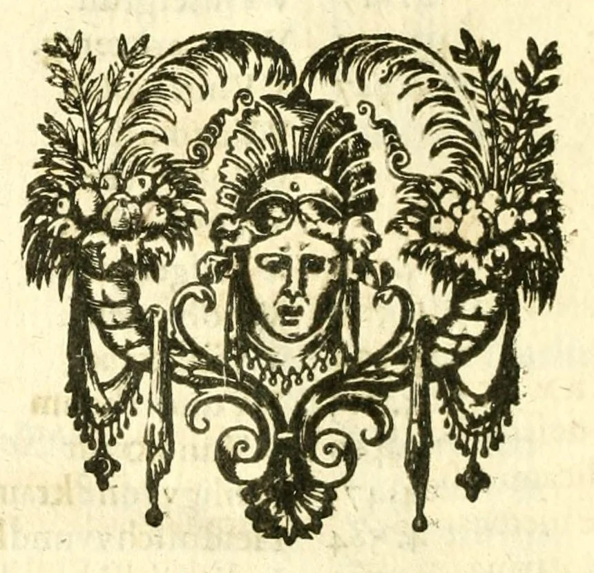 An illustration from Iohannis Schröderi, doct. medici, nec non Reipublicæ Moeno-Francofurtanae physici ordinarii, Pharmacopëia medico-chymica : sive, Thesaurus pharmacologicus. Quo composita quæque celebriora; hinc mineralia, vegetabilia & animalia chymico-medicè describuntur, atque insuper principia physicè Hermetico Hippocraticæ candidè exhibentur, 1656, leaf 52