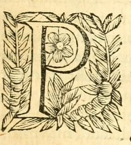 An illustration from Iohannis Schröderi, doct. medici, nec non Reipublicæ Moeno-Francofurtanae physici ordinarii, Pharmacopëia medico-chymica : sive, Thesaurus pharmacologicus. Quo composita quæque celebriora; hinc mineralia, vegetabilia & animalia chymico-medicè describuntur, atque insuper principia physicè Hermetico Hippocraticæ candidè exhibentur, 1656, leaf 53
