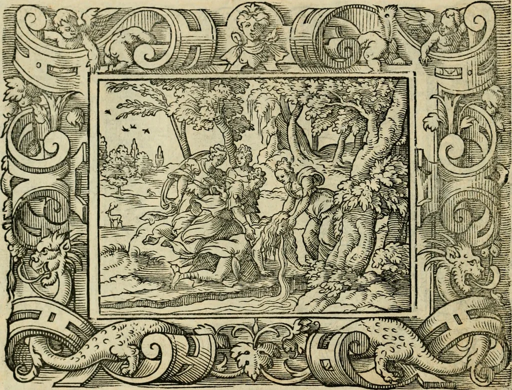 An illustration from Iohan. Posthii Germershemii Tetrasticha in Ovidii Metam. lib. XV. qvibus accesserunt Vergilij Solis figurae elegantiss. & iam primùm in lucem editae = Schoene Figuren auss dem fuertrefflichen Poeten Ouidio, allen Malern, Goldtschmiden, und Bildthauwern, zü nutz unnd gütem mit fleiss gerissen, 1563, leaf 135