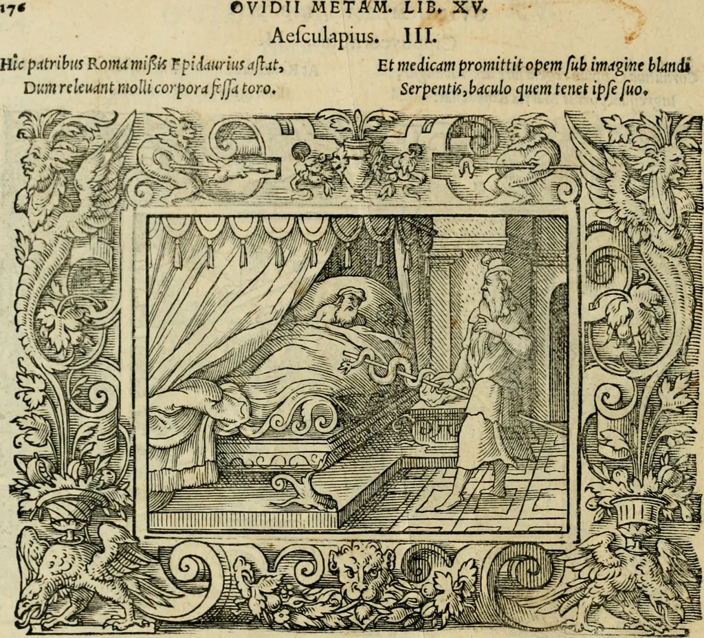 An illustration from Iohan. Posthii Germershemii Tetrasticha in Ovidii Metam. lib. XV. qvibus accesserunt Vergilij Solis figurae elegantiss. & iam primùm in lucem editae = Schoene Figuren auss dem fuertrefflichen Poeten Ouidio, allen Malern, Goldtschmiden, und Bildthauwern, zü nutz unnd gütem mit fleiss gerissen, 1563, leaf 197