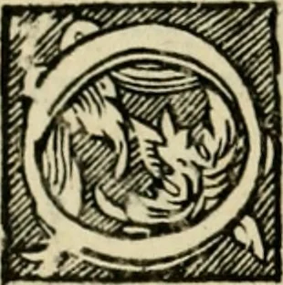 An illustration from Iohan. Posthii Germershemii Tetrasticha in Ovidii Metam. lib. XV. qvibus accesserunt Vergilij Solis figurae elegantiss. & iam primùm in lucem editae = Schoene Figuren auss dem fuertrefflichen Poeten Ouidio, allen Malern, Goldtschmiden, und Bildthauwern, zü nutz unnd gütem mit fleiss gerissen, 1563, leaf 203