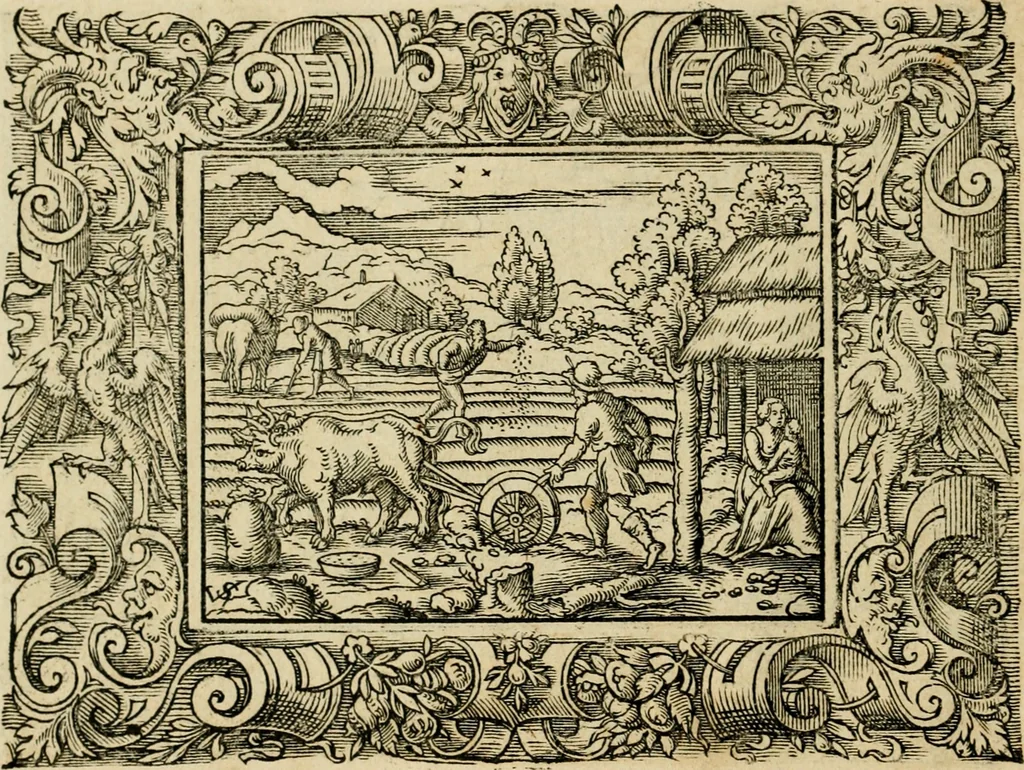 An illustration from Iohan. Posthii Germershemii Tetrasticha in Ovidii Metam. lib. XV. qvibus accesserunt Vergilij Solis figurae elegantiss. & iam primùm in lucem editae = Schoene Figuren auss dem fuertrefflichen Poeten Ouidio, allen Malern, Goldtschmiden, und Bildthauwern, zü nutz unnd gütem mit fleiss gerissen, 1563, leaf 25