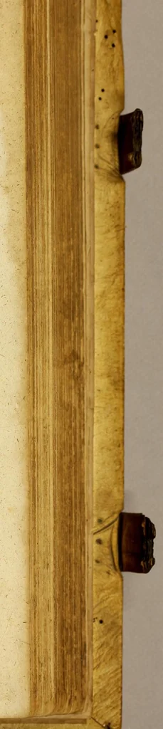 An illustration from Iohan. VVolfii I. C. Lectionum memorabilium et reconditarum centenarii XVI. : Habet hic lector doctorum ecclesiae, vatum, politicorum, philosophorum, historicorum, aliorumq[ue] sapientum & eruditorum pia, grauia, mira, arcana, & stupenda; iucunda simul & vtilia, dicta, scripta, atq[ue] facta; Vaticinia item vota, omina, mysteria, hieroglyphica, miracula, visiones, antiquitates, monumenta, testimonia, exempla virtutu[m], vitiorum, abusuum; typos insuper, picturas, atq[ue] imagines: Sed et ipsius coeli ac naturae horrenda signa, ostenta, monstra, atq[ue] portenta: His interiuncti sunt quoq[ue] omnes sacri prophaniq[ue] ordines: Ex quibus omnibus cum praeteriti status in ecclesia, republica, & communi vita consideratio; tum impendentium euentuum, ac indies magis magisq[ue] ingrauescentium malorum praesagitio: sed & multorum abstrusorum hactenus desideratorum reuelatio ob oculos perspicuè ponitur, 1600, leaf 1009