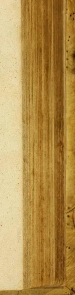 An illustration from Iohan. VVolfii I. C. Lectionum memorabilium et reconditarum centenarii XVI. : Habet hic lector doctorum ecclesiae, vatum, politicorum, philosophorum, historicorum, aliorumq[ue] sapientum & eruditorum pia, grauia, mira, arcana, & stupenda; iucunda simul & vtilia, dicta, scripta, atq[ue] facta; Vaticinia item vota, omina, mysteria, hieroglyphica, miracula, visiones, antiquitates, monumenta, testimonia, exempla virtutu[m], vitiorum, abusuum; typos insuper, picturas, atq[ue] imagines: Sed et ipsius coeli ac naturae horrenda signa, ostenta, monstra, atq[ue] portenta: His interiuncti sunt quoq[ue] omnes sacri prophaniq[ue] ordines: Ex quibus omnibus cum praeteriti status in ecclesia, republica, & communi vita consideratio; tum impendentium euentuum, ac indies magis magisq[ue] ingrauescentium malorum praesagitio: sed & multorum abstrusorum hactenus desideratorum reuelatio ob oculos perspicuè ponitur, 1600, leaf 693