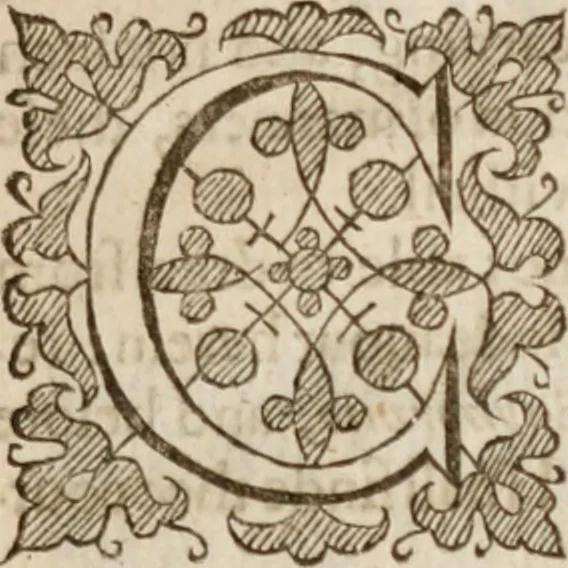 An illustration from Iohn Barclay his Argenis, 1628, leaf 10