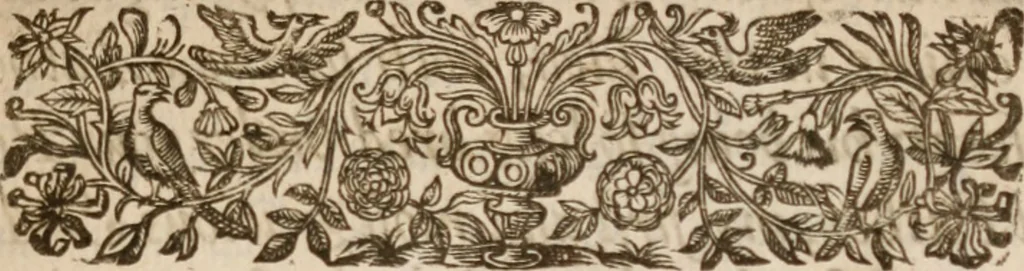 An illustration from Iohn Barclay his Argenis, 1628, leaf 6