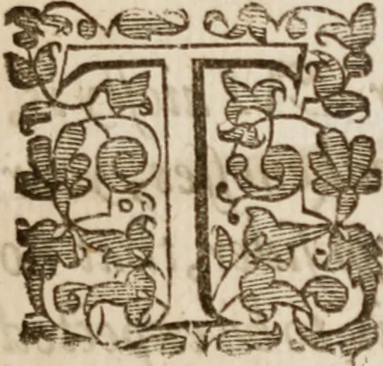 An illustration from Iohn Barclay his Argenis, 1628, leaf 6