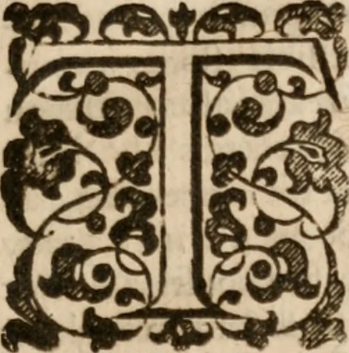 An illustration from Iohn Barclay his Argenis, 1628, leaf 92