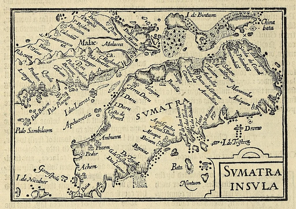 An illustration from Iohn Huighen van Linschoten his Discours of voyages into ye Easte & West Indies : deuided into foure bookes, 1598, leaf 48