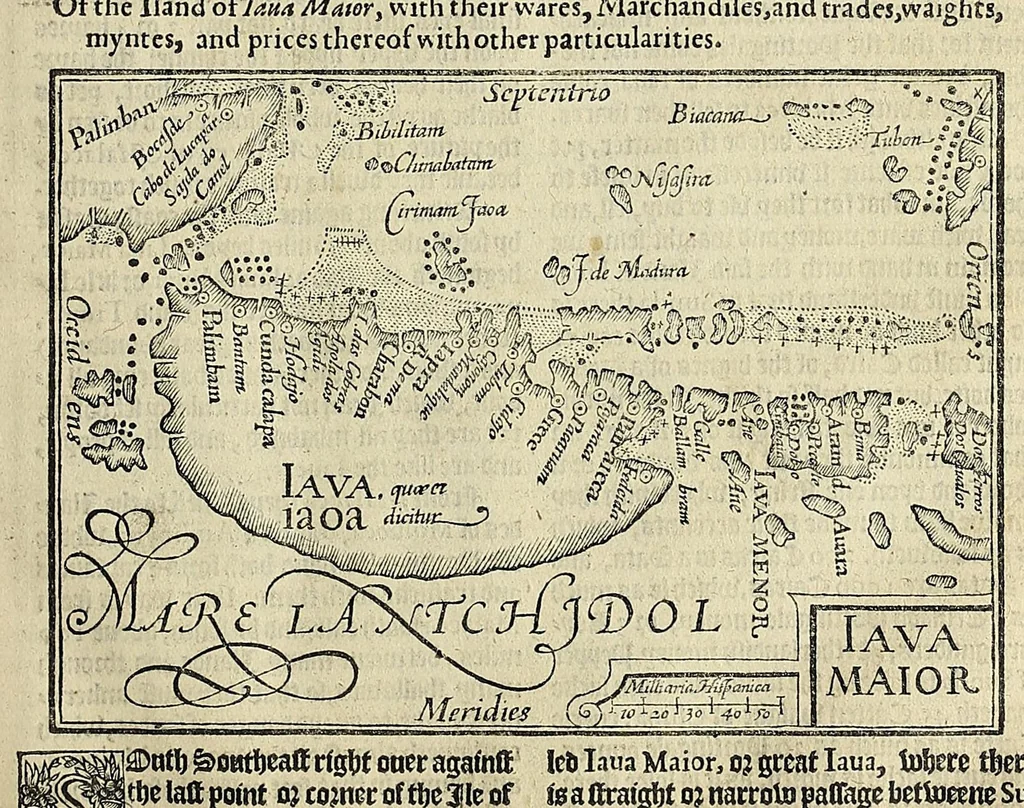 An illustration from Iohn Huighen van Linschoten his Discours of voyages into ye Easte & West Indies : deuided into foure bookes, 1598, leaf 49