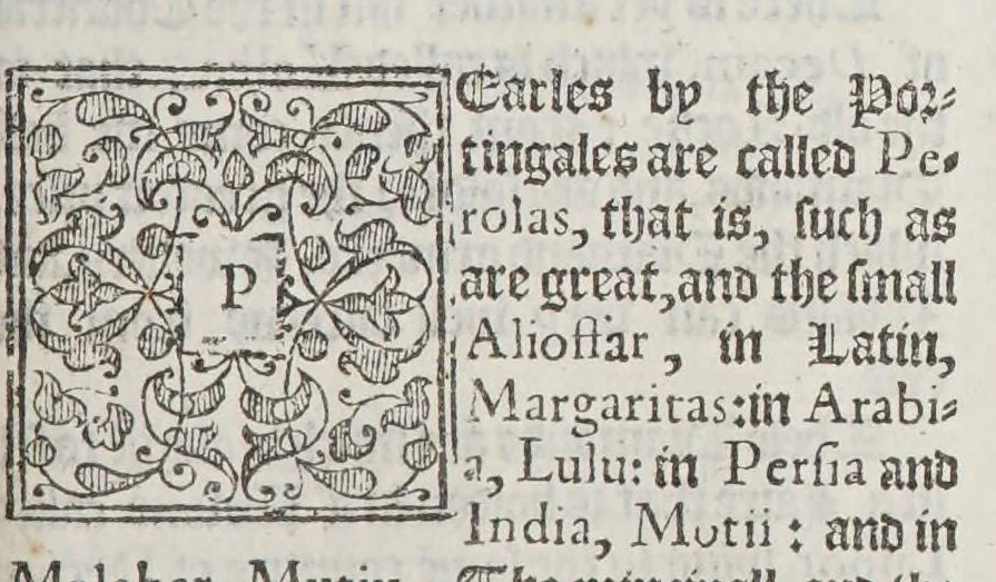 An illustration from Iohn Huighen van Linschoten. His discours of voyages into ye Easte & West Indies. : Deuided into foure bookes, 1598, leaf 288