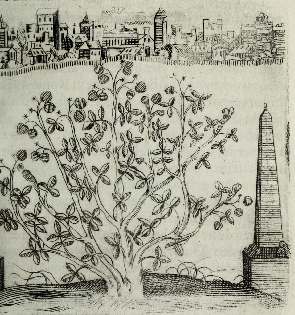 An illustration from Ioh. van Bevervvijck Heel-konste, ofte, Derde deel van de genees-konste : om de uytwendige gebreken te heelen. Verhandeling der spieren : by de welcke aengewesen wort, wat in hun onnatuyrige toe-vallen en te voor-seggen en te hantwercken staet / beleedt door Fortunatum Plempium .., 1645, leaf 207