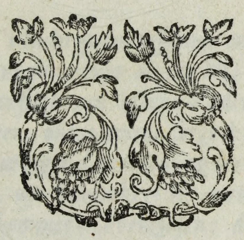 An illustration from Ioh. van Bevervvijck Heel-konste, ofte, Derde deel van de genees-konste : om de uytwendige gebreken te heelen. Verhandeling der spieren : by de welcke aengewesen wort, wat in hun onnatuyrige toe-vallen en te voor-seggen en te hantwercken staet / beleedt door Fortunatum Plempium .., 1645, leaf 537