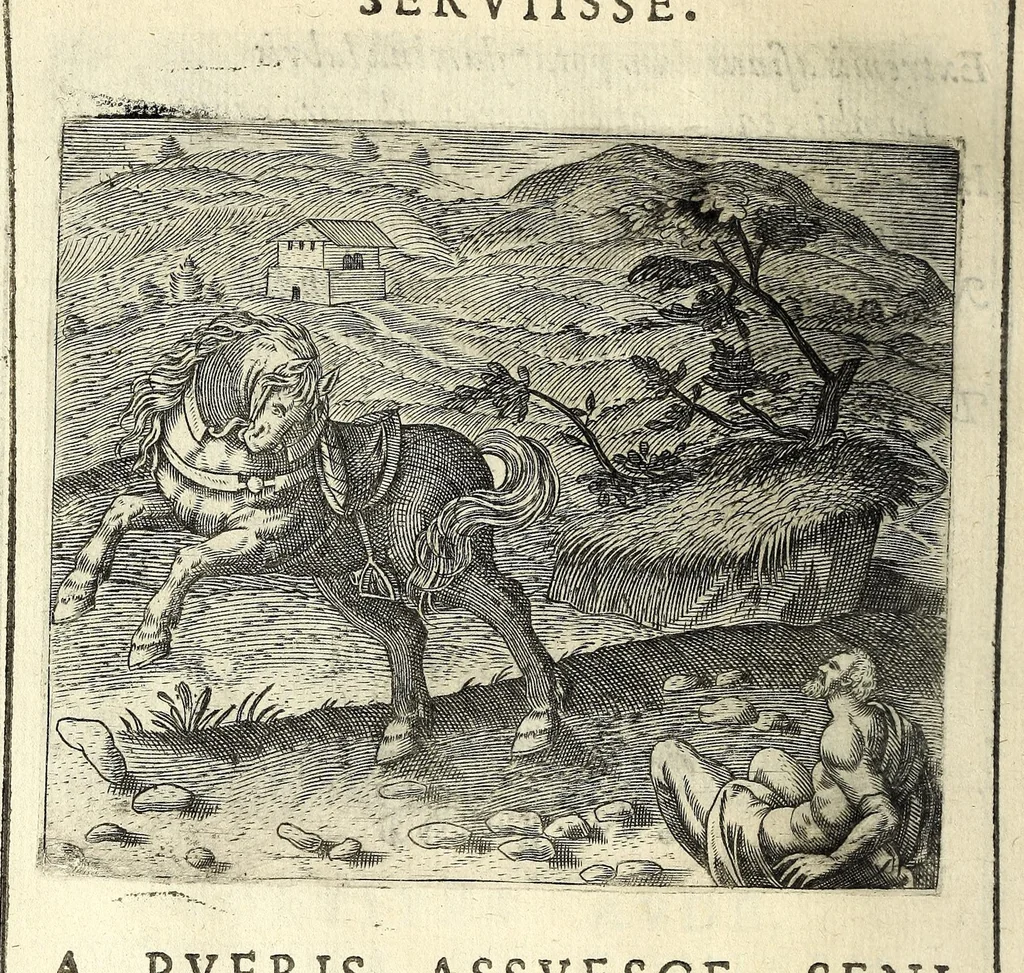 An illustration from Io. Mercerii I.C. Emblemata, 1592, leaf 108