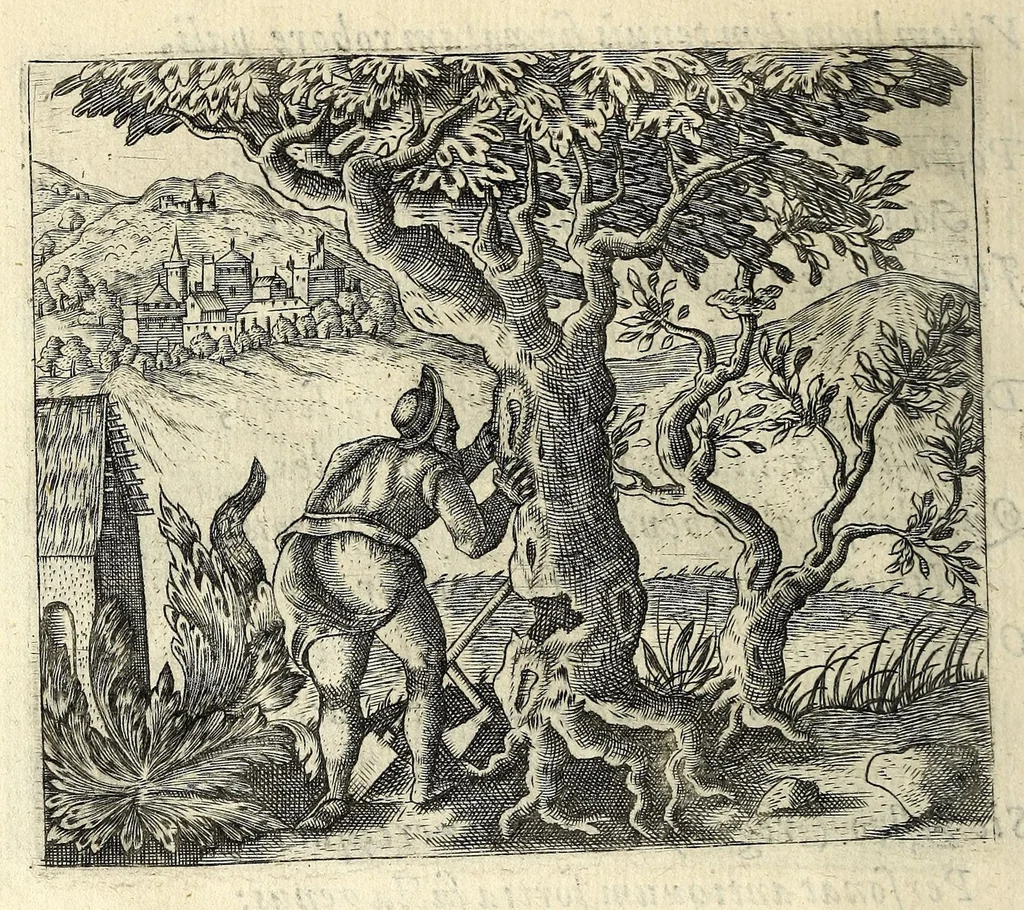 An illustration from Io. Mercerii I.C. Emblemata, 1592, leaf 44