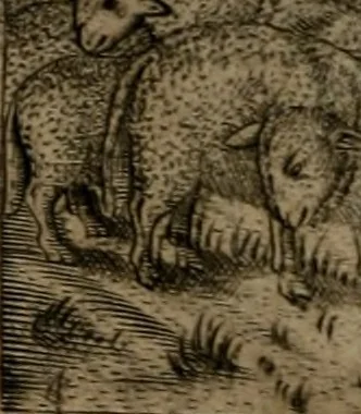 An illustration from Io. Mercerii I.C. Emblemata, 1592, leaf 15