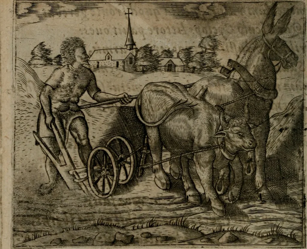 An illustration from Io. Mercerii I.C. Emblemata, 1592, leaf 17