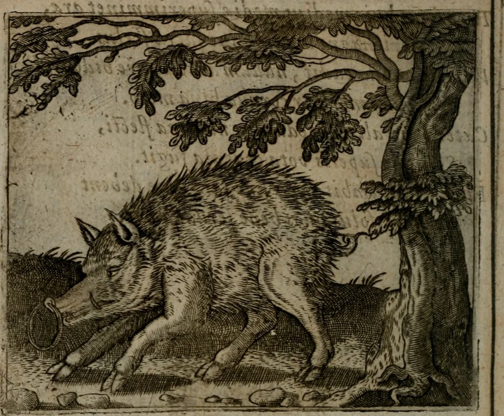 An illustration from Io. Mercerii I.C. Emblemata, 1592, leaf 61