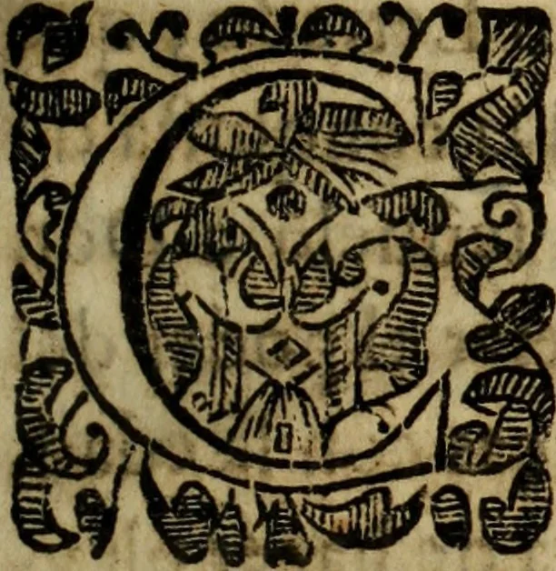 An illustration from Iornada de Africa por el rey Don Sebastián, y unión del reyno de Portugal a la corona de Castilla, 1630, leaf 316