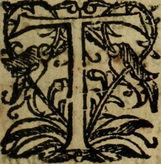 An illustration from Iornada de Africa por el rey Don Sebastián, y unión del reyno de Portugal a la corona de Castilla, 1630, leaf 8