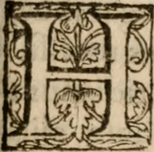 An illustration from Iosephi Anchietae Societatis Jesu sacerdotis in Brasilia defuncti vita. Ex I I S, que de eo petrus roterigius societatis Iesu Preafes prouincialis in Brasilia...prodit nunc primum, 1617, leaf 136