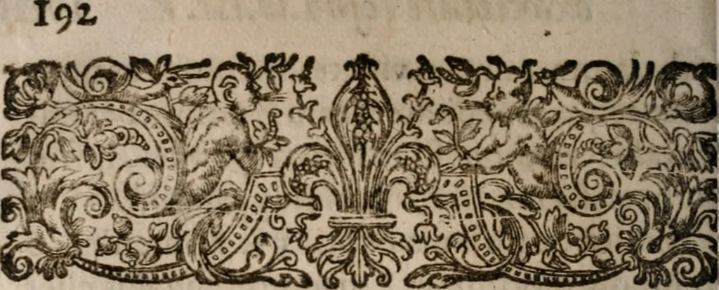 An illustration from Iosephi Anchietae Societatis Jesu sacerdotis in Brasilia defuncti vita. Ex I I S, que de eo petrus roterigius societatis Iesu Preafes prouincialis in Brasilia...prodit nunc primum, 1617, leaf 201