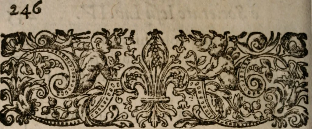 An illustration from Iosephi Anchietae Societatis Jesu sacerdotis in Brasilia defuncti vita. Ex I I S, que de eo petrus roterigius societatis Iesu Preafes prouincialis in Brasilia...prodit nunc primum, 1617, leaf 255