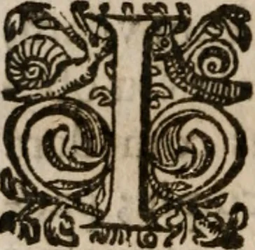 An illustration from Iosephi Anchietae Societatis Jesu sacerdotis in Brasilia defuncti vita. Ex I I S, que de eo petrus roterigius societatis Iesu Preafes prouincialis in Brasilia...prodit nunc primum, 1617, leaf 255