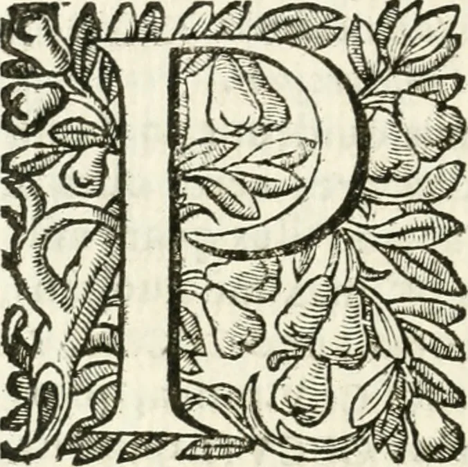 An illustration from Iosephi Mariae Suaresij episcopi vasionensis Praenestes antiquae libri duo, 1655, leaf 129
