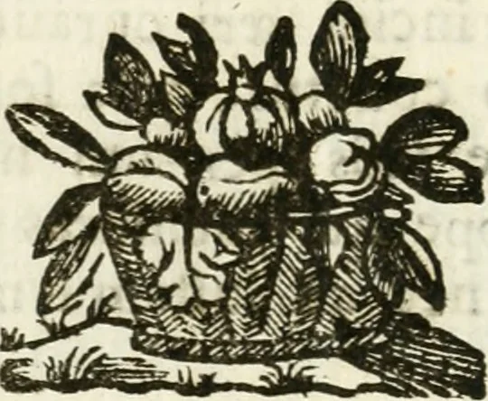 An illustration from Iosephi Mariae Suaresij episcopi vasionensis Praenestes antiquae libri duo, 1655, leaf 13