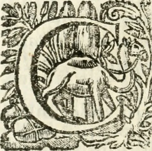 An illustration from Iosephi Mariae Suaresij episcopi vasionensis Praenestes antiquae libri duo, 1655, leaf 193