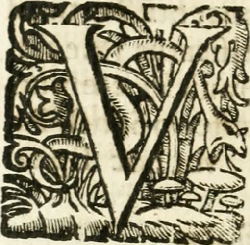 An illustration from Iosephi Mariae Suaresij episcopi vasionensis Praenestes antiquae libri duo, 1655, leaf 257