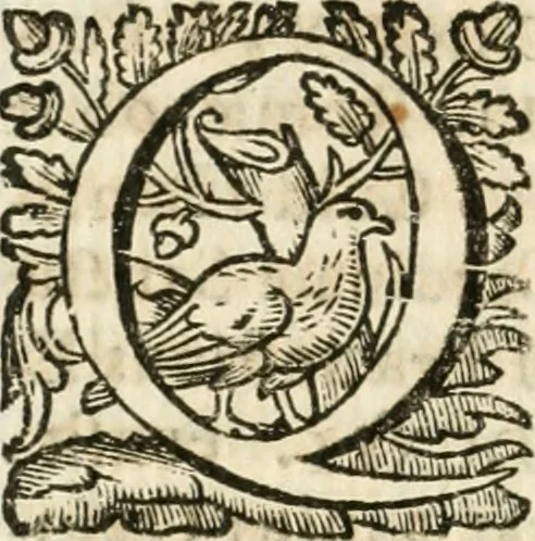 An illustration from Iosephi Mariae Suaresij episcopi vasionensis Praenestes antiquae libri duo, 1655, leaf 299