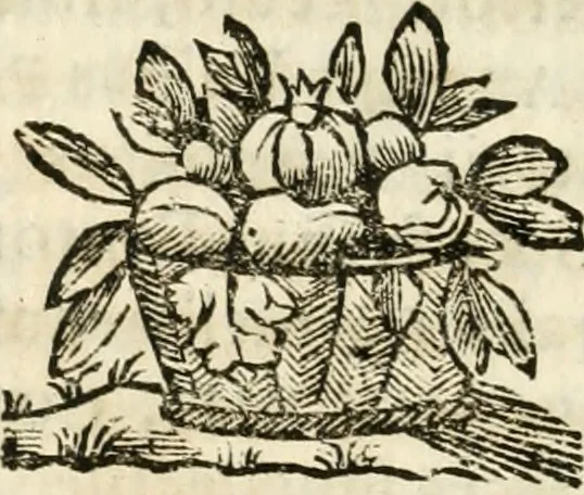 An illustration from Iosephi Mariae Suaresij episcopi vasionensis Praenestes antiquae libri duo, 1655, leaf 301