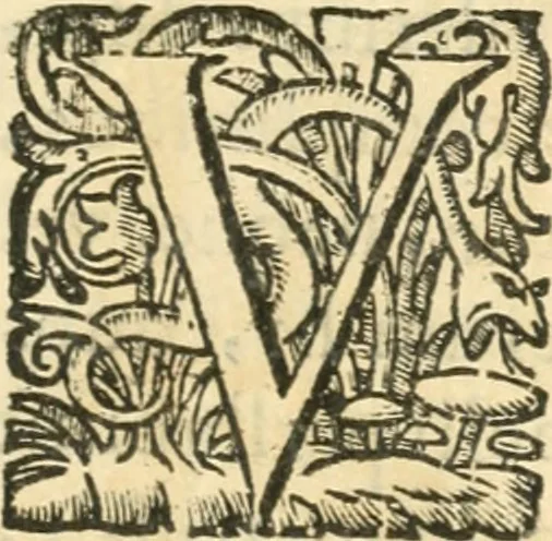 An illustration from Iosephi Mariae Suaresij episcopi vasionensis Praenestes antiquae libri duo, 1655, leaf 4