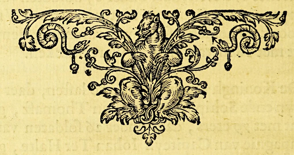 An illustration from Iournael vande Nassausche vloot, : ofte beschryvingh vande voyagie om den gantschen aerdt-kloot, ghedaen met elf schepen: onder't beleyd vanden Admirael Iaques L'Heremite, ende Vice-Admirael Geen Huygen Schapenham, inde jaeren 1623, 1624, 1625, en 1626. ., 1626, leaf 18